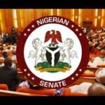 NASS Committee to Visit South Africa Over Xenophobic Attacks on Nigerians