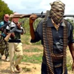 US Deploys Small Troop Contingent to Nigeria to Boost Counterterrorism Efforts
