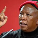 Julius Malema Sentenced to Five Years in Prison for Firearm Offences