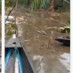Rescue Teams Comb Igbokoda Swamp For Victims Of Fatal Air Crash